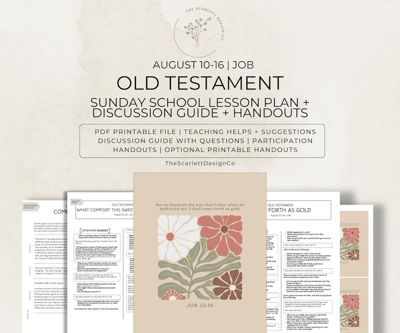 Old Testament Lesson Plan, Gospel Doctrine & Sunday School Teaching Help, August 10-16, Job, Come Follow Me 2026 image 1