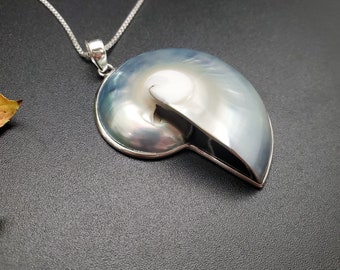 ATS-AYU020 | Big Nautilus Shell Necklace Pendant Options With Silver Chain | Sterling Silver Bali Nautilus Pendant | Lovely Shell Pendant
