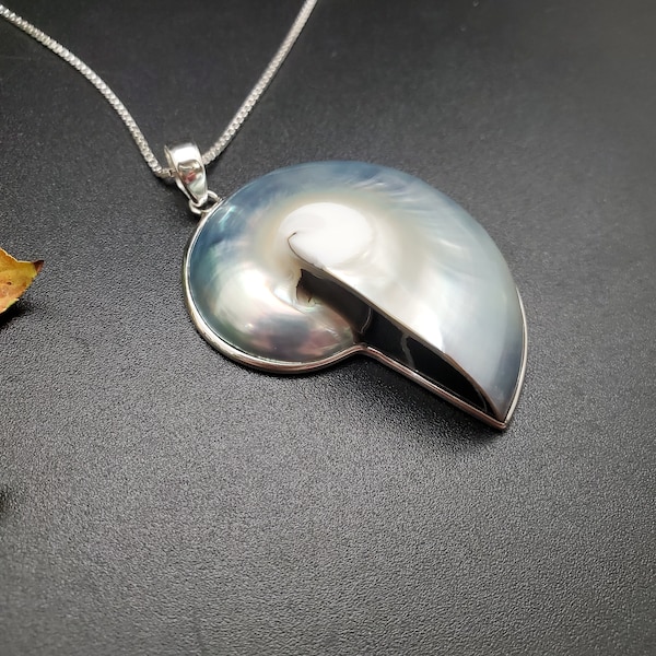 ATS-AYU020 | Big Nautilus Shell Necklace Pendant Options With Silver Chain | Sterling Silver Bali Nautilus Pendant | Lovely Shell Pendant