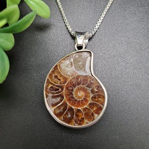 FFD #054 | Ammonite Shell Necklace Pendant | Sterling Silver Ammonite Fossil Pendant | Ammonite Shell Boho Pendant | Nautilus Fossil Pendant