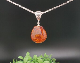 琥珀ネックレス FFD #305 | 天然バルト海産琥珀ネックレスペンダント（シルバー