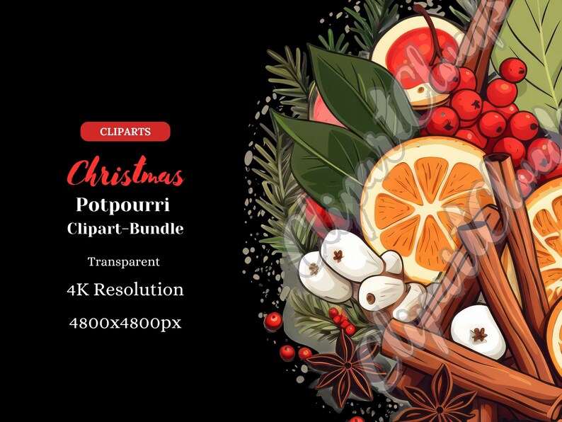 Christmas Potpourri Cliparts 17 PNG Transparent (Instant Download) Etsy