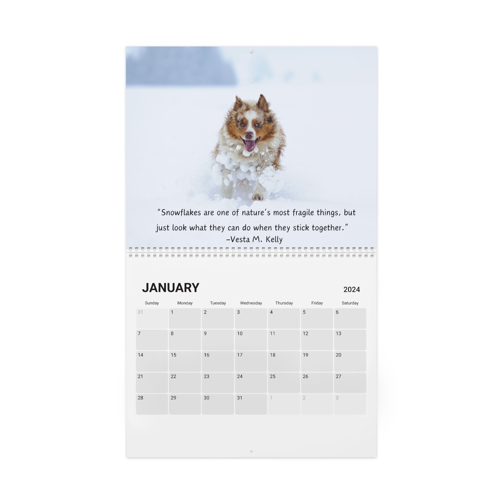 Australian Shepherd 2024 Wall Calendar, Australian Shepherd Calendar