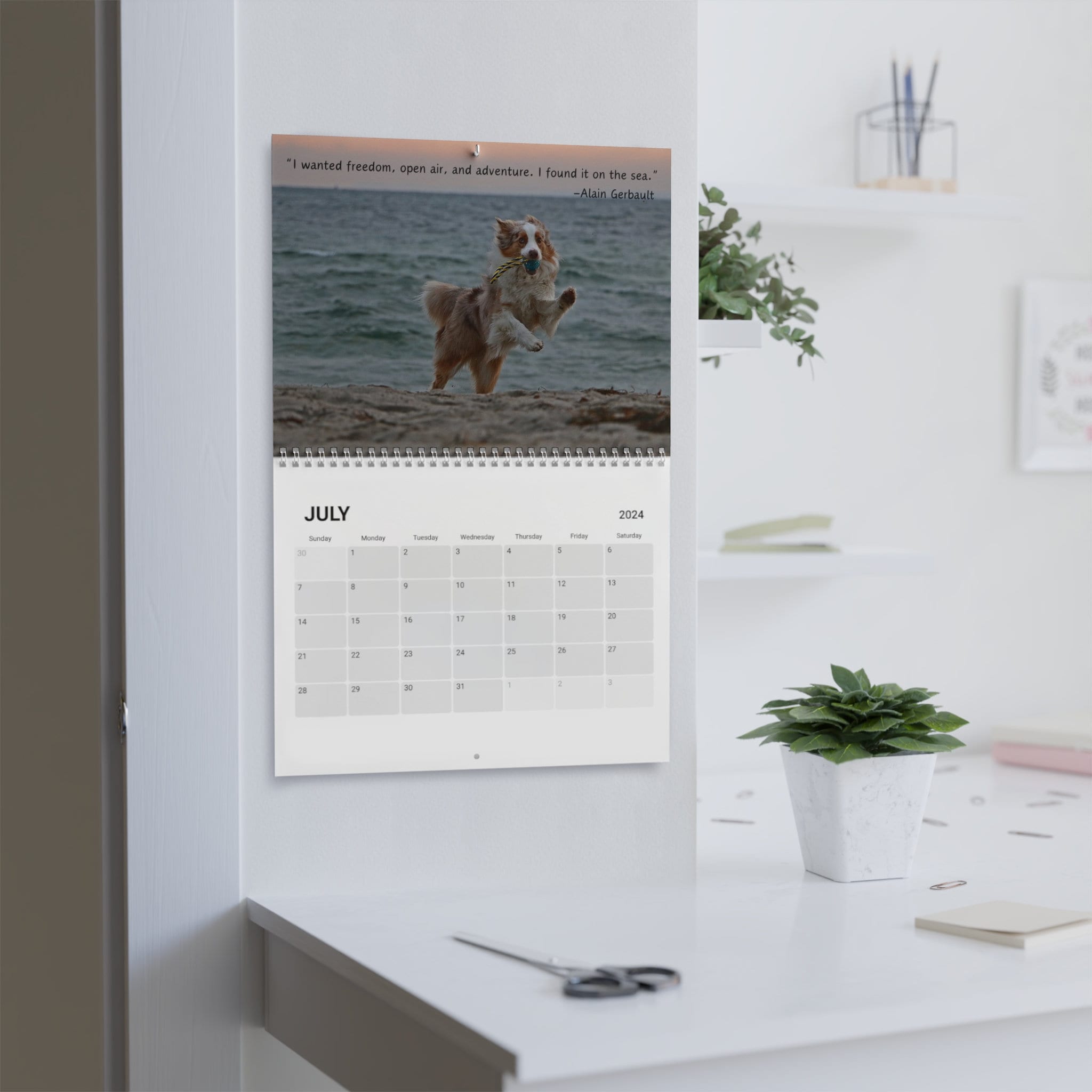 Australian Shepherd 2024 Wall Calendar, Australian Shepherd Calendar