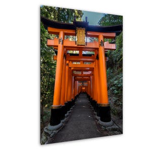 Japan Torii Gates at Fushimi Inari Shrine in Kyoto