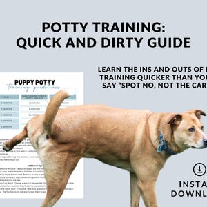 Könnte beinhalten: Ein druckbarer Leitfaden für das Stubenreinheitstraining von Welpen, mit einer Tabelle, die die maximale Zeit zwischen den Toilettenpausen für Welpen unterschiedlichen Alters zeigt. Der Leitfaden enthält auch Tipps zur Etablierung einer Routine und zusätzliche Trainingstipps. Ein brauner und weißer Welpe ist auf dem Bild zu sehen.