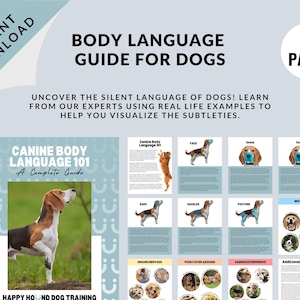 Könnte beinhalten: Ein blauer und weißer Leitfaden mit dem Titel "Canine Body Language 101: A Complete Guide" und einem Foto eines Beagle-Hundes. Der Leitfaden umfasst 15 Seiten und enthält Beispiele aus dem echten Leben für die Körpersprache von Hunden.
