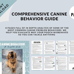 Puede incluir: Una guía de 8 páginas sobre el comportamiento canino, con una imagen de portada de un perro dorado con la boca abierta. El título de la guía es "Comportamiento canino: Una guía completa".