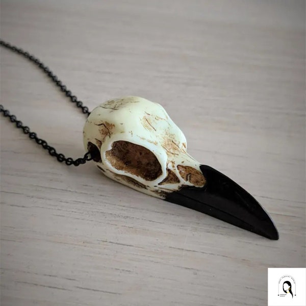 Raven Skull Necklace, Viking Crow Skull Necklace, Vintage Gothic Skull Jewelry, Crow Jewelry for Women, Gift for Bird Lover, Halloween Gift