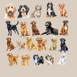 K&ouml;nnte beinhalten: Eine Sammlung von Aquarellbildern verschiedener Hunderassen. Die Hunde sind in verschiedenen Posen dargestellt, darunter sitzend, stehend und liegend. Die Bilder sind in einem realistischen Stil gehalten und zeigen eine Vielzahl von Farben, darunter Braun, Schwarz, Wei&szlig; und Gold.