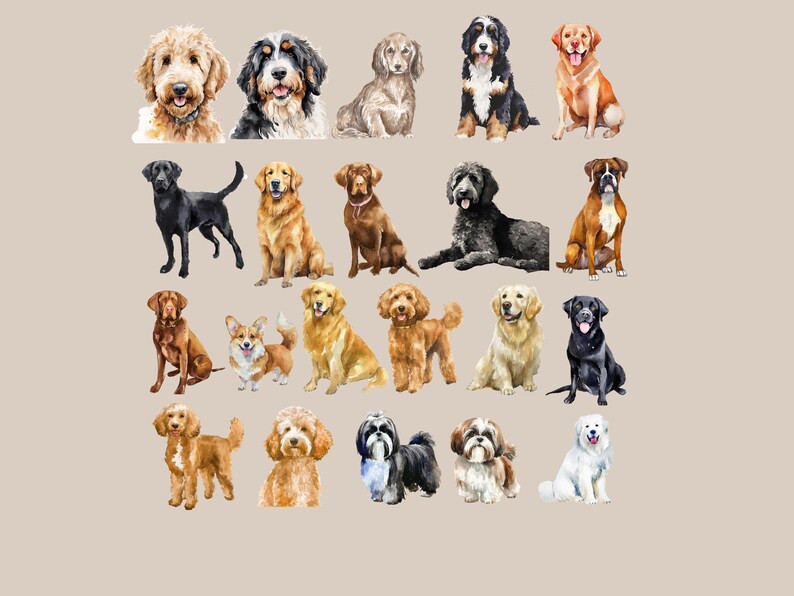 K&ouml;nnte beinhalten: Eine Sammlung von Aquarellbildern verschiedener Hunderassen. Die Hunde sind in verschiedenen Posen dargestellt, darunter sitzend, stehend und liegend. Die Bilder sind in einem realistischen Stil gehalten und zeigen eine Vielzahl von Farben, darunter Braun, Schwarz, Wei&szlig; und Gold.