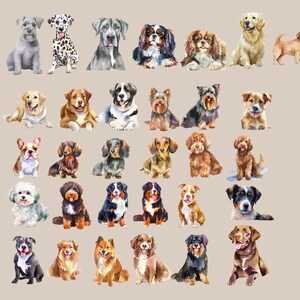 K&ouml;nnte beinhalten: Aquarellmalerei verschiedener Hunderassen, darunter ein Dalmatiner, ein Berner Sennenhund, ein Cavalier King Charles Spaniel, ein Dackel, ein Yorkshire Terrier, eine Franz&ouml;sische Bulldogge, ein Golden Retriever, ein Labrador Retriever, ein Schnauzer, ein Pudel und ein Beagle.