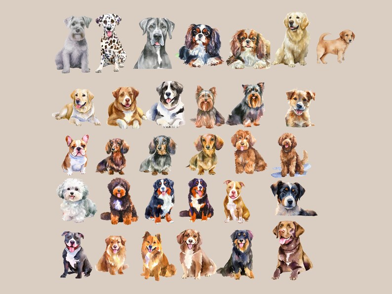 K&ouml;nnte beinhalten: Aquarellmalerei verschiedener Hunderassen, darunter ein Dalmatiner, ein Berner Sennenhund, ein Cavalier King Charles Spaniel, ein Dackel, ein Yorkshire Terrier, eine Franz&ouml;sische Bulldogge, ein Golden Retriever, ein Labrador Retriever, ein Schnauzer, ein Pudel und ein Beagle.