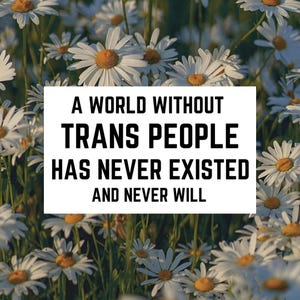 Trans Ally Sticker, Waterproof Vinyl, LGBTQ+ Positive Quote