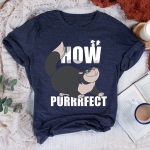 Cinderella Lucifer Cat How Purrrfect Vintage T-Shirt, Magic Kingdom Disneyland Family Vacation Shirt, Birthday Gift Adult Kid Toddler Tee
