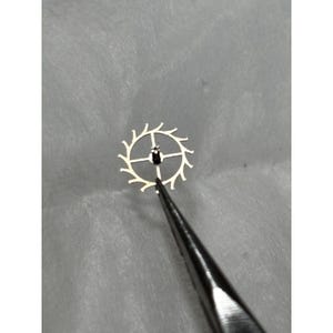 May include: A metallic watch escape wheel with a central axis and curved teeth, held by a pair of precision tweezers. The component is silver-toned and features a delicate, circular design with four spokes connecting the center to the outer rim.