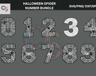 May include: A Halloween-themed number bundle featuring the numbers 0 through 9. Each number is white with a spider web design and a black spider. The numbers have a black outline and are set against a gray background. The text "HALLOWEEN SPIDER NUMBER BUNDLE" is at the top.