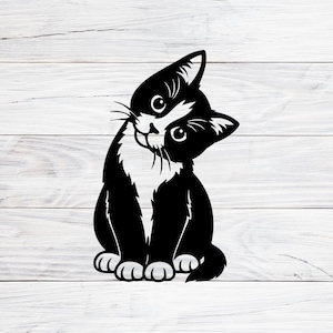 May include: A black and white cat illustration. The cat is sitting upright with its head tilted to the side, giving a curious expression. The cat has white markings on its face and chest, with whiskers and large eyes. The background is a white wood grain.