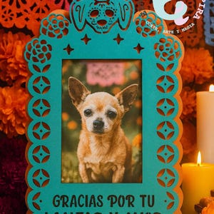 May include: A teal and orange decorative picture frame featuring a photo of a small brown dog. The frame has a cut-out design with floral and dog skull motifs. Text on the frame reads "GRACIAS POR TU LEALTAD Y AMOR."