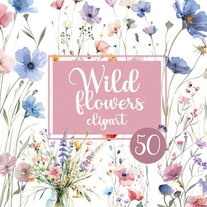 Watercolor Wildflower Clipart: 50 PNG Floral Elements (Digital Download)