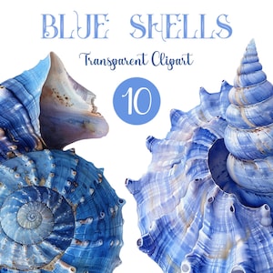 10 imágenes prediseñadas de conchas marinas azules de acuarela, ambiente oceánico imprimible, descarga digital, PNG de alta calidad hermosas conchas marinas azules