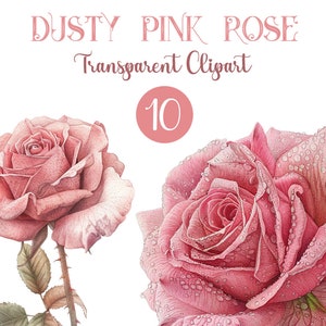 Aquarell Altrosa Rose Clipart - Handgemalte Blumenkunst, digitaler Download, künstlerische Blüte Grafiken für Scrapbooking, Wandkunst