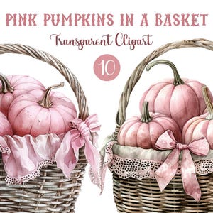 Watercolor Pink Pumpkins Clipart: Fall Autumn Decor (PNG Download)