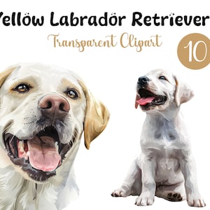 Adorable Yellow Lab Watercolor Clipart Bundle - Instant Download, Printable Dogs for Crafts, High Quality PNG