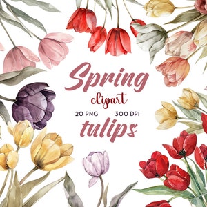 Aquarell Frühling Tulpe Sammlung Clipart, 20 PNG Blumen Clipart, Blumen Clipart, Frühlingsblumen, Tulpe Clipart Bundle, kommerzielle Nutzung