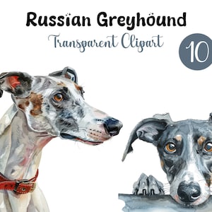 10 Clipart acquerello levriero russo, clipart acquerello stampabile per cani e cuccioli, download digitale, PNG di alta qualità