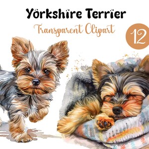 Yorkshire Terrier PNG Bundle, Watercolor Yorkshire PNG Images for Sublimation Crafting Digital Planner, Yorkie Clipart, Dog PNG