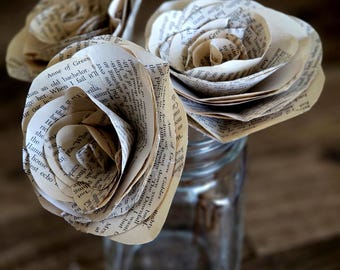 Buch-Seitenrosen