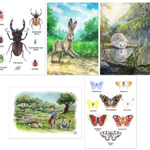 Cartes postales d'été par lot de 9 ou séparément - Waldorf - Papillons - Insectes et coléoptères - Hérisson - Plage - Coquillages - De saison