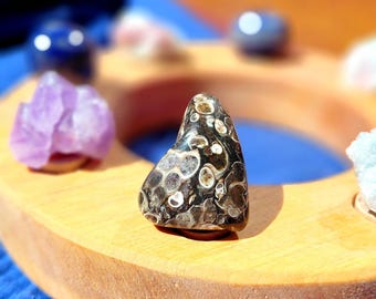 Fossilized Agat Birthday ring Ornament / Plug - Steker - Celebrationring - fits Grimms - Waldorf - advent spiral decoration
