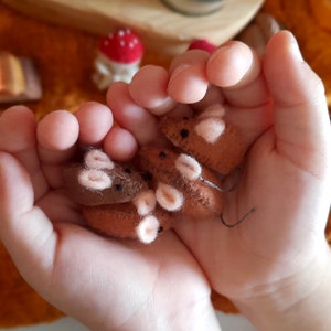 Camundongos de lã - Ratinho - Brinquedos Waldorf - Mesa de estação