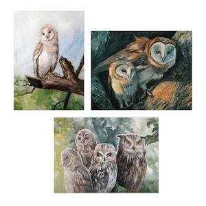 Birds Postcards - Seasontable - Waldorf - Kingfisher - Owls - Puffin - Jay - in set of 12 or separately