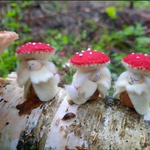 Mushroom Acorn Gnomes - Wool - Woolfelt - Handmade - Seasontable -  Waldorf