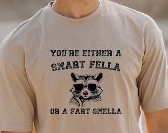 Are You A Smart Fella Or Fart Smella Retro Cartoon Shirt, Weird Sweater, Meme Shirt, Trash Panda Shirt, Trending Shirts, Gift for Friends