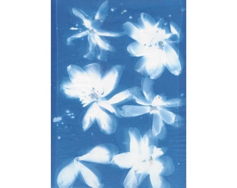 Original Botanical Cyanotype Print_No. 19 White and Purple Tulips