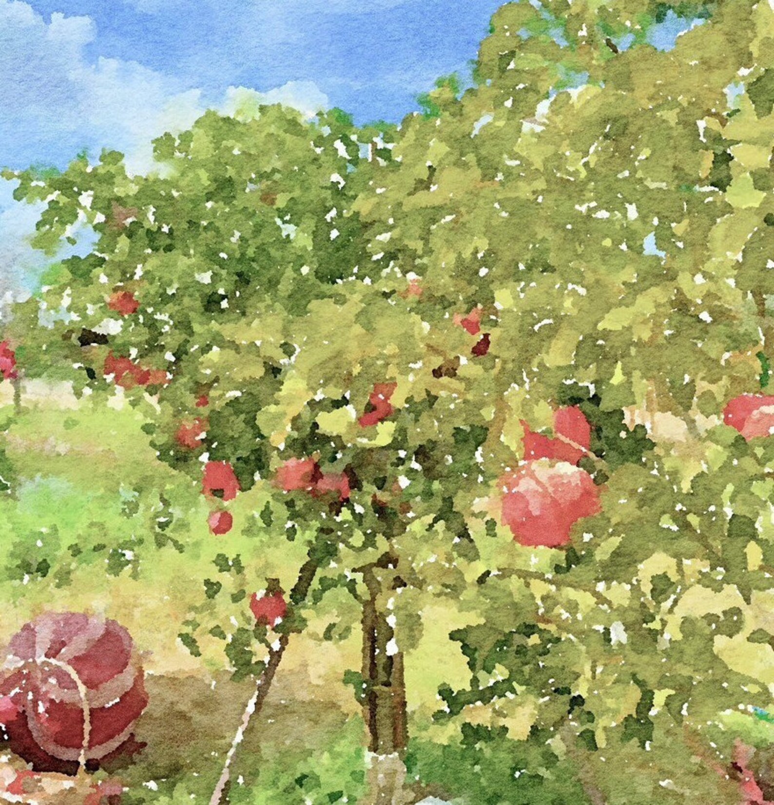 Apple Tree Garden | Watercolor Painting | Printable Digital Download ...