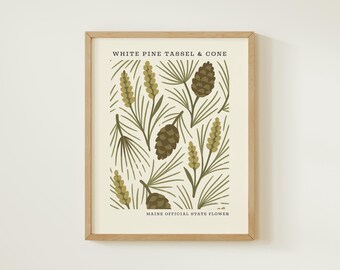 Maine State Flower Art Print | White Pine Cone Botanical Wall Decor | Mid Century Modern Floral |  Housewarming Gift