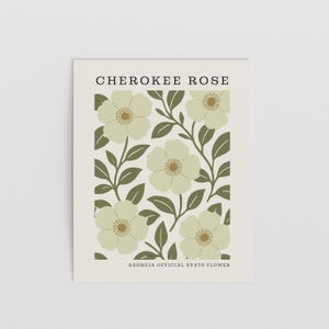 Georgia State Flower Art Print | Cherokee Rose Botanical Wall Decor | Mid Century Modern Floral | Housewarming Gift image 3