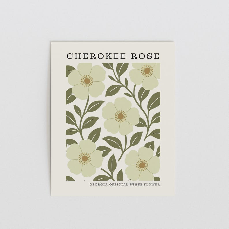 Georgia State Flower Art Print | Cherokee Rose Botanical Wall Decor | Mid Century Modern Floral | Housewarming Gift image 3
