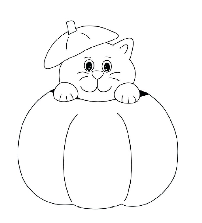 Build a Cat in a Pumpkin color In Etsy