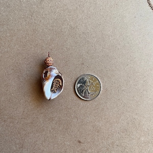May include: A seashell pendant with a gold leaf design, shown next to a Canadian one dollar coin for size comparison.