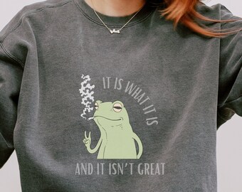 It Is What It Is And It Is Not Great Shirt Vintage Drawing Frog Meme Shirt Funny Frog T-shirt Cottagecore Sweatshirt Cute Graphic Tee