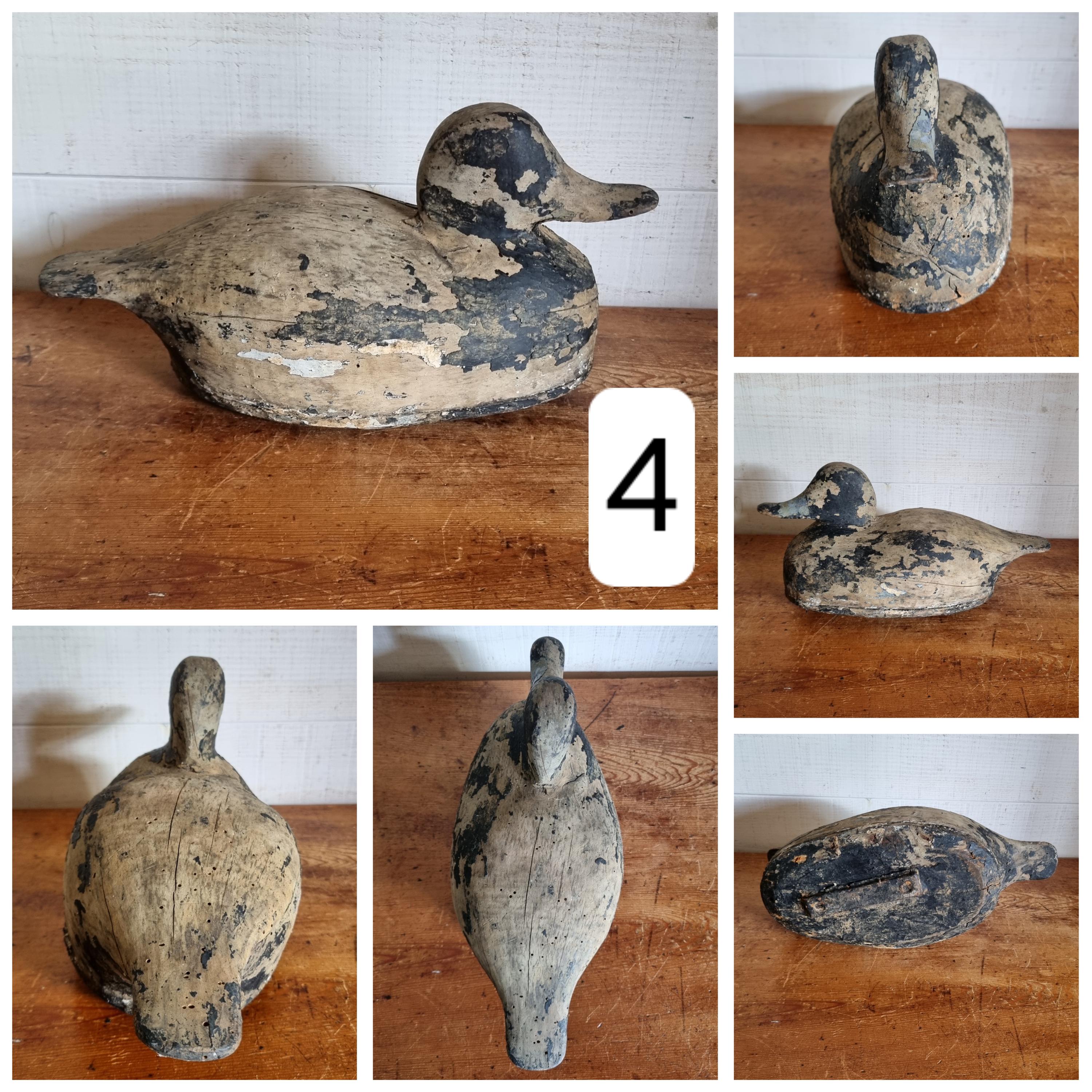 Leurre Canard Colvert En Bois Sculpté Ancien - Plateau Ou Décor - USA - Neuf