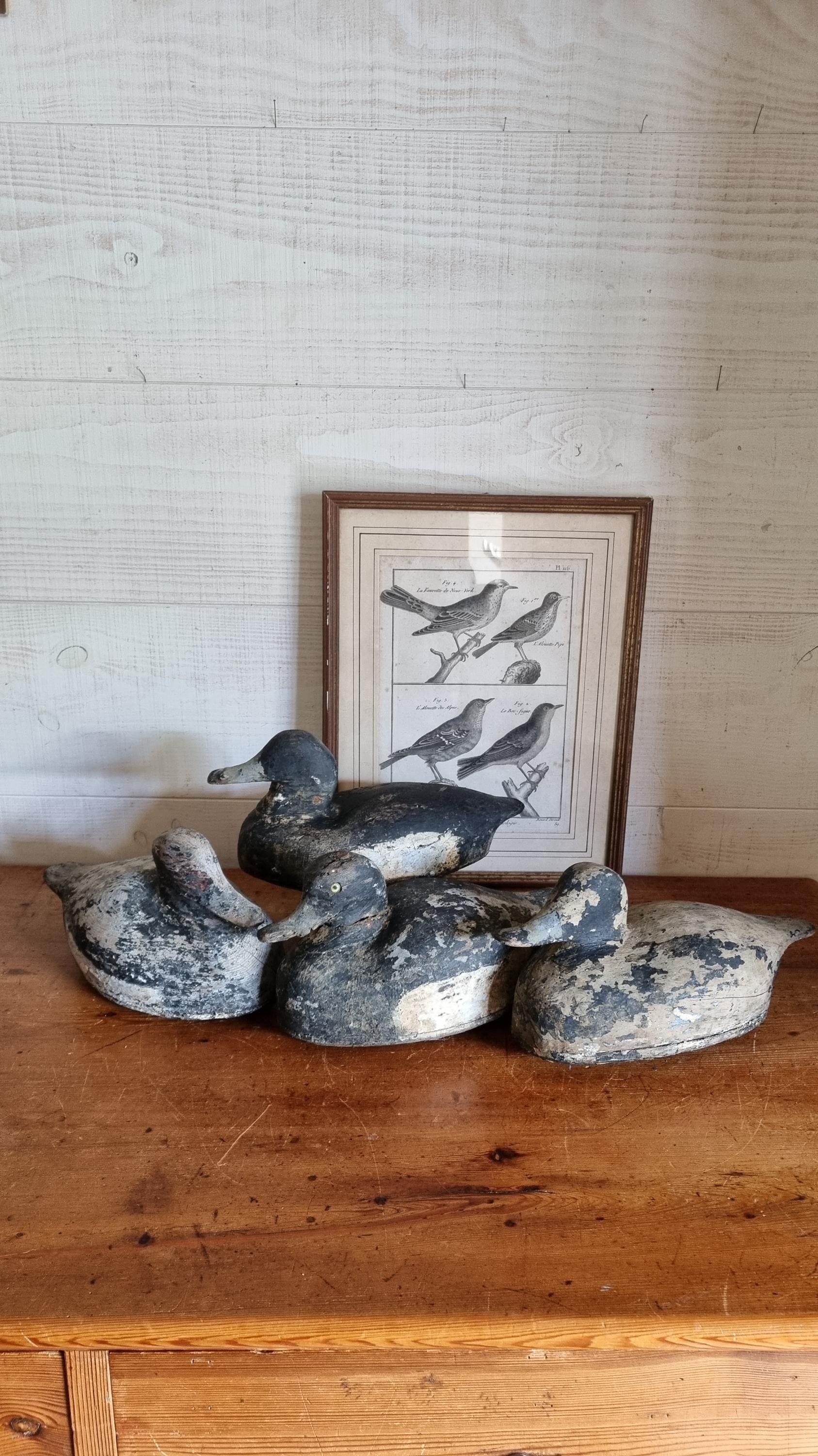 Wooden Decoy Duck French - Etsy