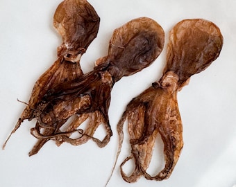 Dehydrated Baby Octopus, Octopus Dehydrated Treats for Cats & Dogs - Healthy Seafood Snack, Natural Dog and Cat Food, Nutritional Pet Treats