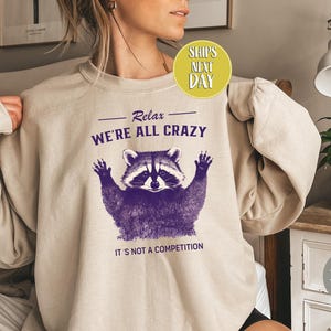 Entspannen Sie sich, wir sind alle verrückt, es ist kein Wettbewerb Sweatshirt, psychische Gesundheit Shirt, Waschbär Shirt, lustige Sprüche, Waschbär Hoodie, Meme Geschenk FUN046